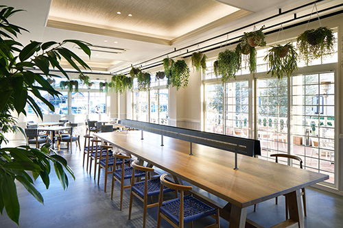 サニーキッチン高崎